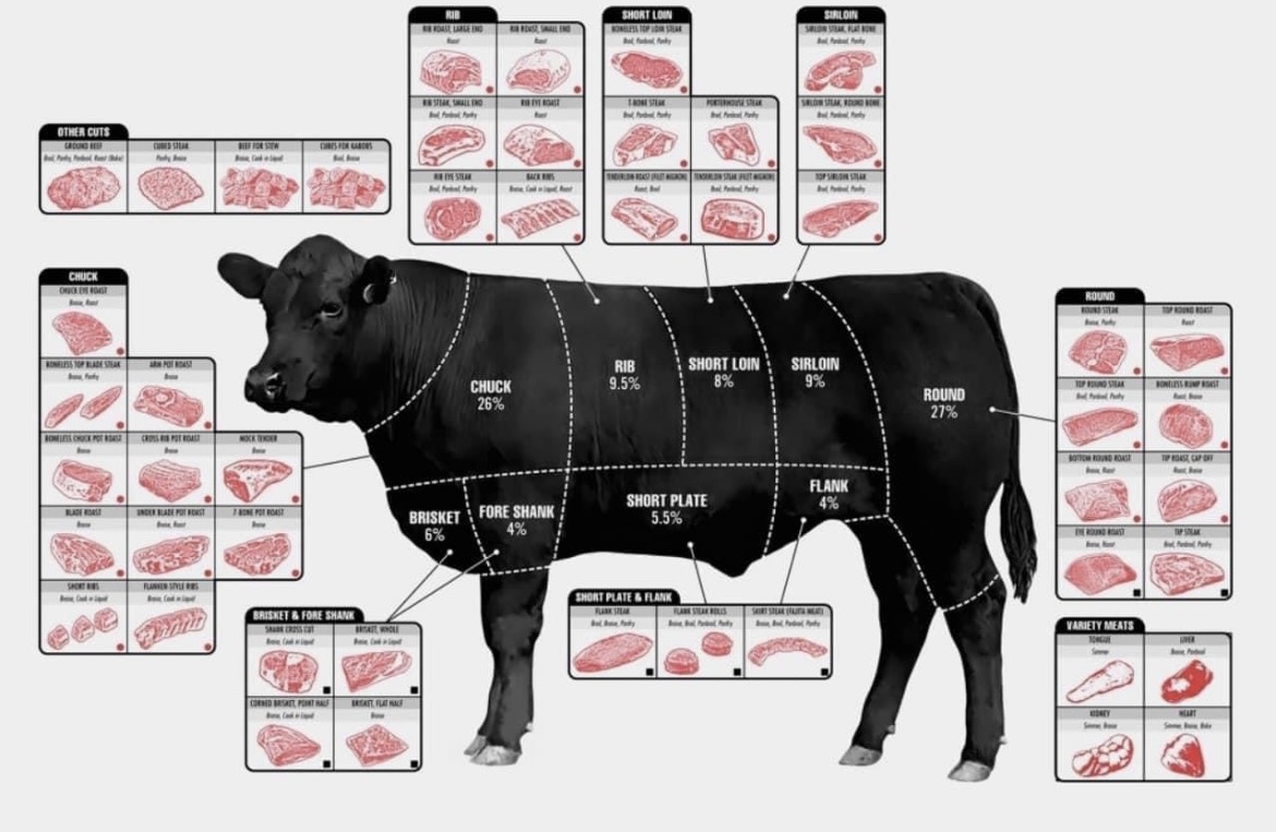 Diagram of Beef Cattle Cuts